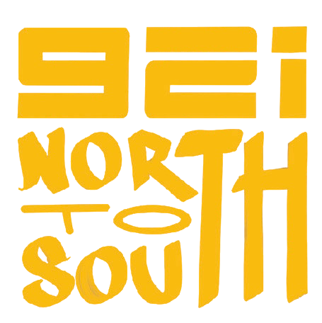 Logo NorthToSouth